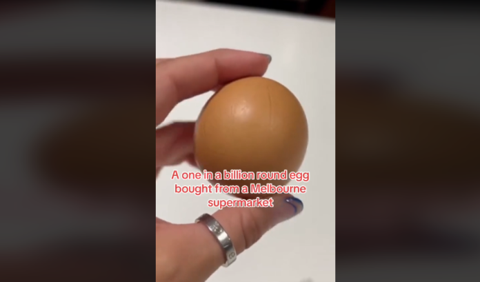 The chances of finding a round egg? 1 in 1 billion
